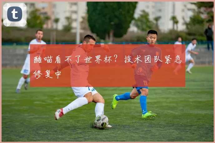 酷喵看不了世界杯？技术团队紧急修复中