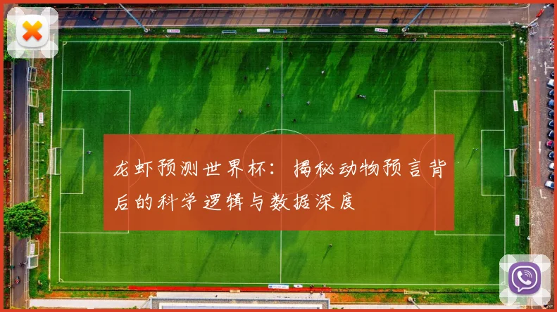 龙虾预测世界杯：揭秘动物预言背后的科学逻辑与数据深度